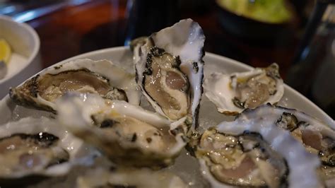Elegant presentation of fresh oysters on ice, part of a sophisticated