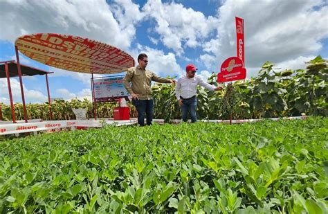 Alicorp participó en la Exposoya 2023 con un amplio portafolio de