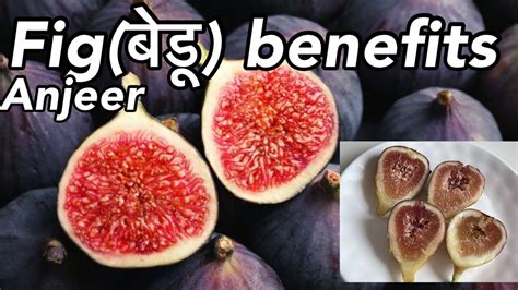 Anjeer Fig Bedu Ke Fayde Uses Of Anjeer Fig Himalyan Fig Ko Kse Use