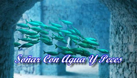 Significado E Interpretaciones De So Ar Con Agua Y Peces