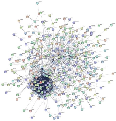 String Protein Protein Interaction Network Of Common Degs Including