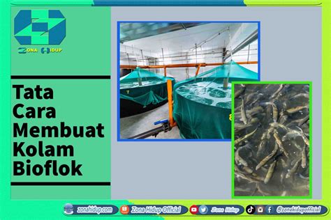 Tata Cara Membuat Kolam Bioflok Zona Hidup