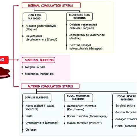 Bleeding Management Using Haemostatic Agents Download Scientific Diagram