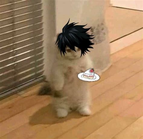 Deathnotelawlietl L Lawliet Death Note Cute Cat Memes Fangirl