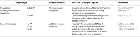 Frontiers Glycans And Glycan Binding Proteins As Regulators And