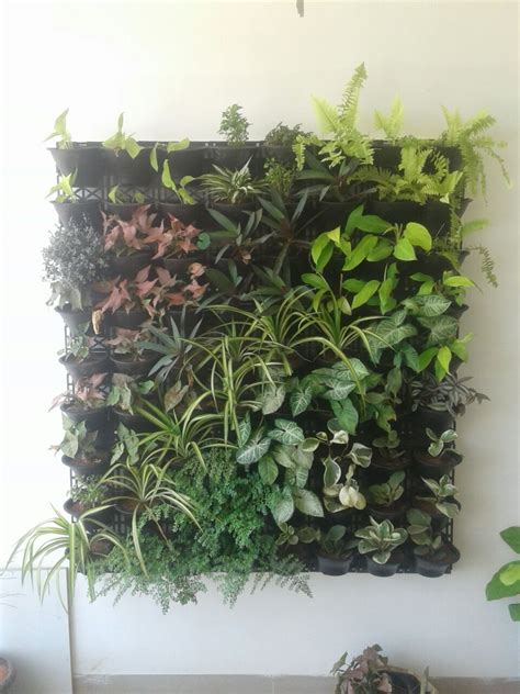 Vertical Gardening | Right Choice Interior