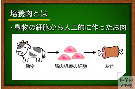 培養肉と再生医療・組織工学【再生医療の技術で食料問題に挑む】 科学のメモ帳