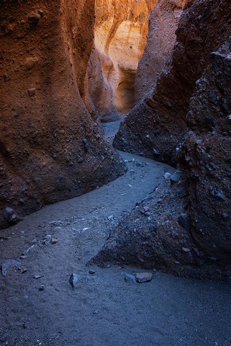 Sidewinder Photograph By Brian Knott Photography Fine Art America