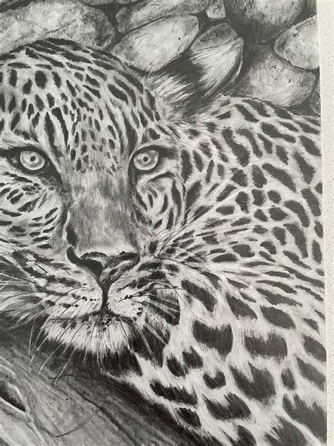 Jaguar Pencil Drawing Graphite Artwork Interior Decor Home - Etsy