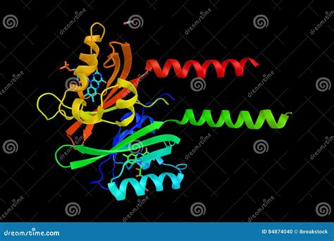 Typical Core-domain of a FMN-binding Fluorescent Protein Stock ...