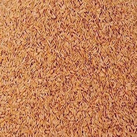 Dried Brown Hybrid Paddy Seeds For Food Processing Packaging Type Pp Bag At Rs 3000 Tonne In