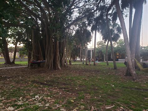 Self-care and survivors’ guilt: coping after Hurricane Ian – The Catalyst