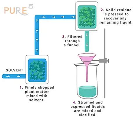 The Steps Of Plant Extraction Revealing Natures Secrets