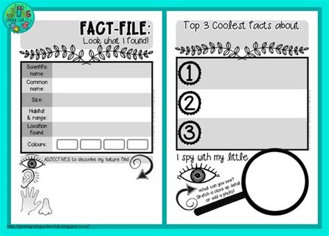 Printable Fact File Template