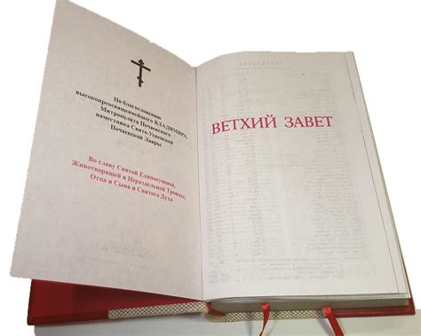 Новая Библия с Современным Переводом и Обложкой