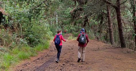 Cronograma Caminatas Ecol Gicas En Bogot Del Al De Enero De