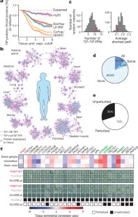 A Reference Map Of The Human Binary Protein Interactome Nature