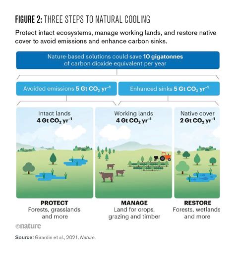 Guidelines For Successful Sustainable Nature Based Solutions