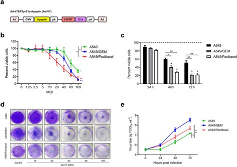 Comparative Efficacy Of Ad Vt On The Inhibition Of Lung Cancer Cell