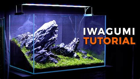 Iwagumi Aquarium Setup Aquascaping Tutorial Youtube