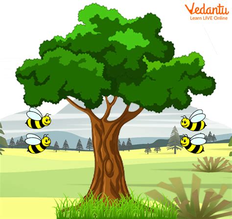 Bee Nest In Tree Cartoon