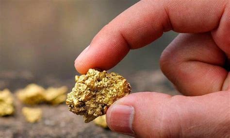 Gold Becomes The Main Export Of Bolivia In The Eight Months Of 2021