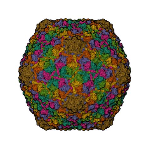 Rcsb Pdb Gta Cryo Em Structure Of The Marine Siphophage Vb Dshs R C