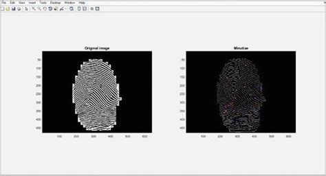 4 Minutiae of fingerprint | Download Scientific Diagram