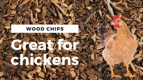 Six Benefits Of Using Woodchips Deep Mulch In Chicken Run How To Get