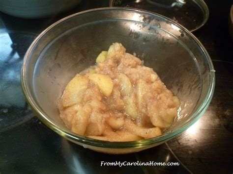 Honey Crisp Applesauce with Cinnamon – From My Carolina Home