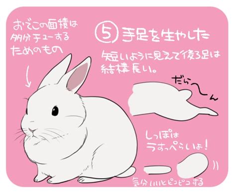 うさぎのイラストの描き方！簡単にかわいく！メイキングで解説｜お絵かき図鑑