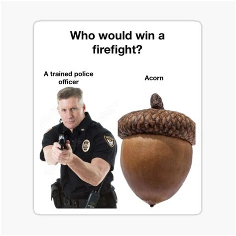 positive  memes