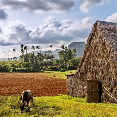 6 Reasons Why You Need To Visit Viñales, Cuba - Cassie In Cuba