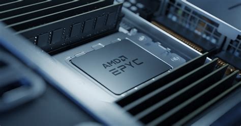 Dual Amd Epyc X Flagship Milan X Cpus Benchmarked Over Gb Of