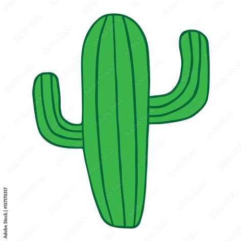 Green cactus plant isolated vector illustration drawing. Mexican cactus ...