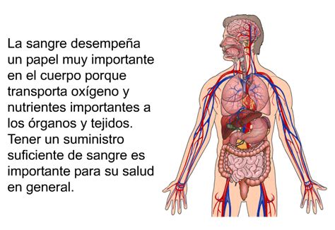 Patedu Transfusi N De Sangre En Paciente Ambulatorio