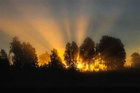 O Milagre Da Manh O Poder Da Rotina Matinal Panpandorices