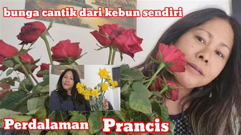 Bunga Cantik Dari Kebun Sendiri Di Perdalaman Prancis YouTube