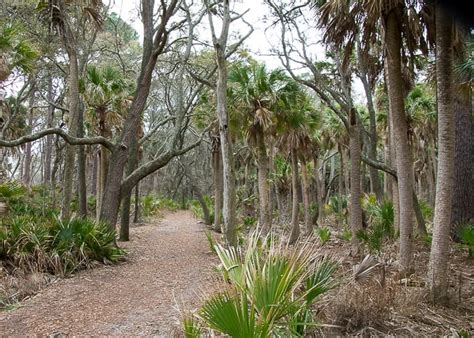 Hunting Island State Park - Spicy Southern Kitchen