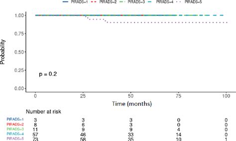 Pdf The Prognostic Value Of Pi Rads Score In Cyberknife Ultra