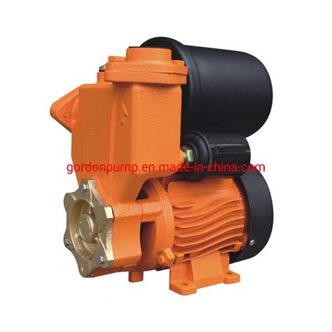 Electric Self Priming Booster Water Pump For Sale With Stainless Steel Valve China Self