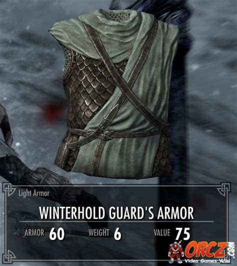 Skyrim Winterhold Guards Armor The Video Games Wiki