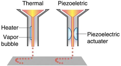 Schematic Of Thermal Inkjet Bioprinting Using Heat Induced Bubble