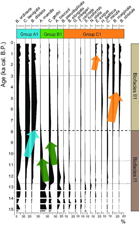 Abundance Of Main Benthic Foraminiferal Species In A Sediment