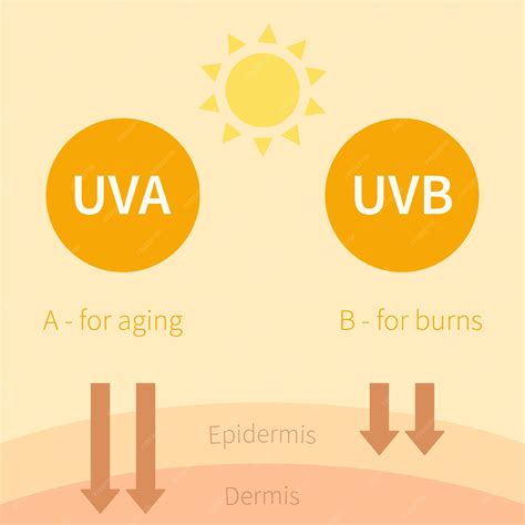 Premium Vector Uva And Uvb Sun Rays Ultraviolet Rays Flat Simple