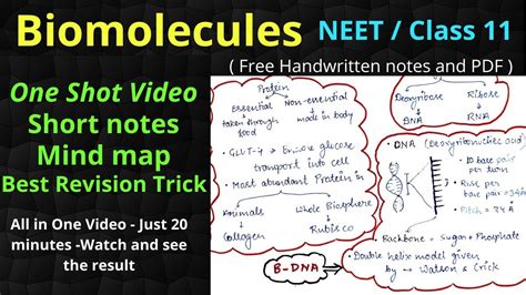 Biomolecules One Shot Video Mind Map Class Chapter Best Revision