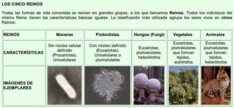 Blogs De Biologia Tareas Extraclases La ClasificaciÓn De Los Reinos