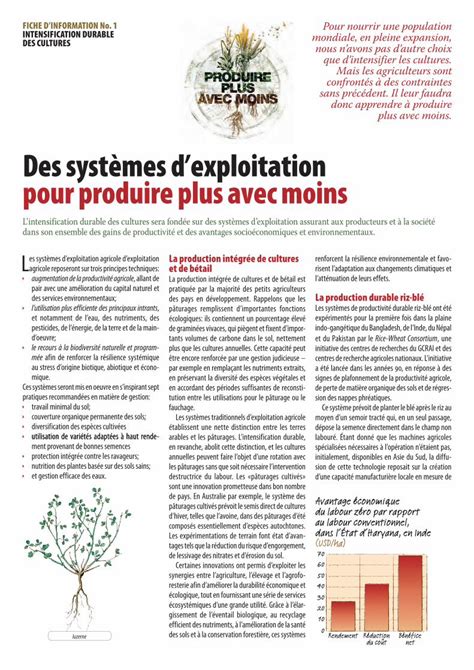 Pdf Des Syst Mes Dexploitation Pour Produire Plus Avec Moinshiver