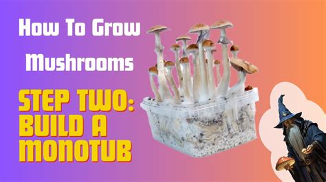 How To Build A Monotub Quick Easy Cheap Youtube