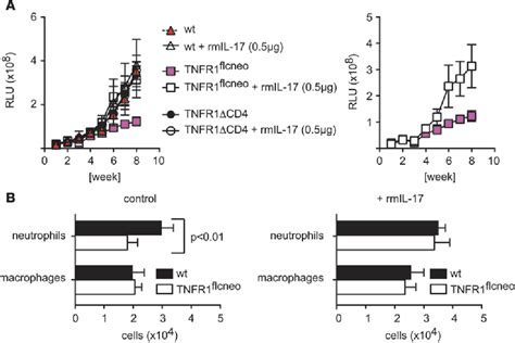 Figure 1 From The Tumor Promoting Actions Of Tnf Alpha Involve Tnfr1